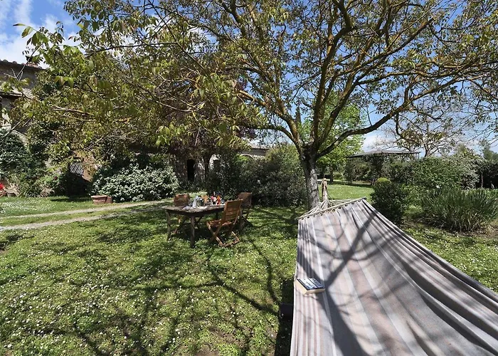 Limonaia סוביצ'ילה