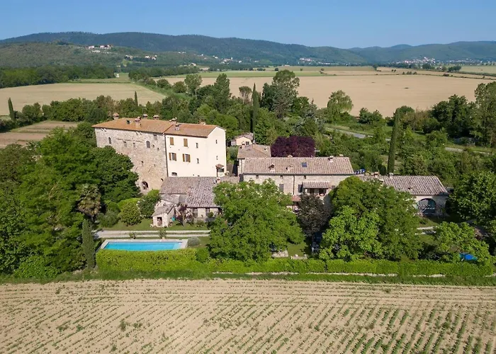 Limonaia סוביצ'ילה